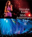 Shizuka Kudo 30th Anniversary Live 