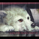 WOLF&#39;S RAIN O.S.T. 2/˥᥵ȥ (: 褦)