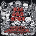 BIG GUN SHOT [CD+DVD]