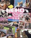 NEKOּ̿ ե̿