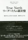 True North ꡼ ּʬ餷Ĥ̤̤夲