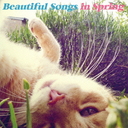 Beautiful Songs in Spring㥺İϤΤ