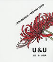 U&U ټ (UENODESIGN+YASUSHI)