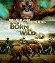 IMAX: BORN TO BE WILD 3D -- (3DBD) [Blu-ray]