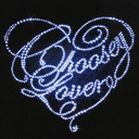 Choosey Lover [㥱åA/DVD2]/