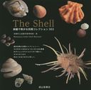 The Shell Ǵʳॳ쥯303