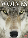 WOLVES Υϥ󥿡 Υ߼̿