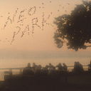 NEO PARK/ʤĤ䤹ߥХ