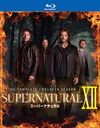 SUPERNATURAL XII ȥ֡ ֥롼쥤 ץ꡼ȡܥå