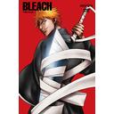 BLEACH (롦ƥ)  1 [̾]